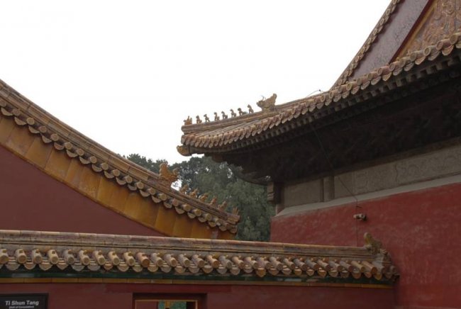 2007-04-29 205757_slb