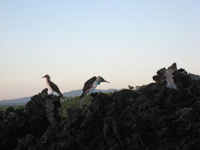 20080505_050519-sjb