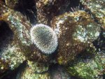 20080426_102544-slb