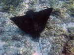 20080426_102925-slb