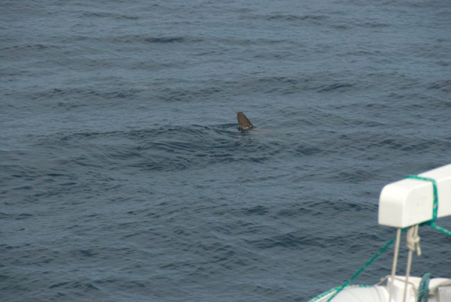20080427_081010-slb