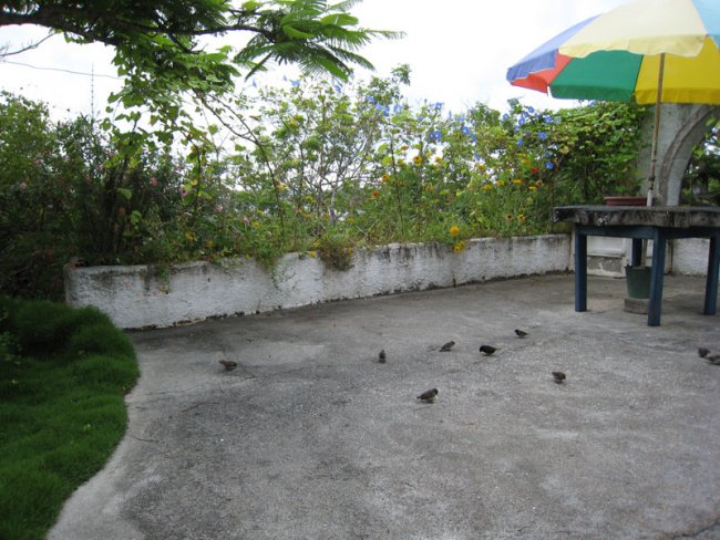 20080502_062335-sjb